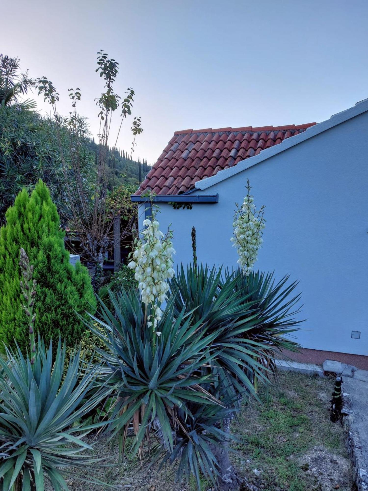Holiday Home Sunrise Gruda 外观 照片